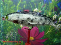 Streamer " Fiberfish Grayling " Streamer " Fiberfish Grayling "