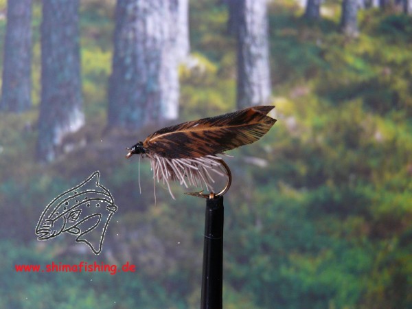 Trockenfliege " Lacewing Adult "