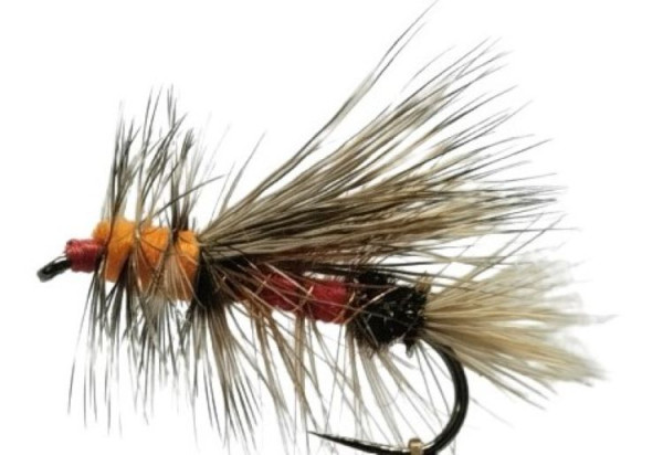 Trockenfliege " Stimulator Royal Coachman " auf Schonhaken/ barbless hook
