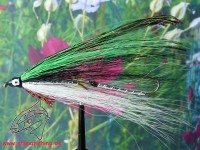 Streamer " Shiner " Streamer " Shiner "