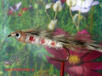 Streamer " Fiona " Streamer " Fiona "