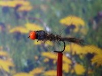 Nymphe " Firehead Hares Ear " auf Schonhaken, barbless hook Nymphe " Firehead Hares Ear " auf Schonhaken, barbless hook