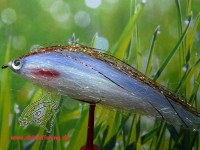 Streamer " Fiberfish Purple Gold " Streamer " Fiberfish Purple Gold "