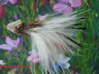 Muddler Marabou White Muddler Marabou White