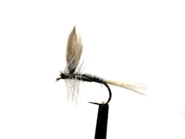 Trockenfliege " Blue Dun "