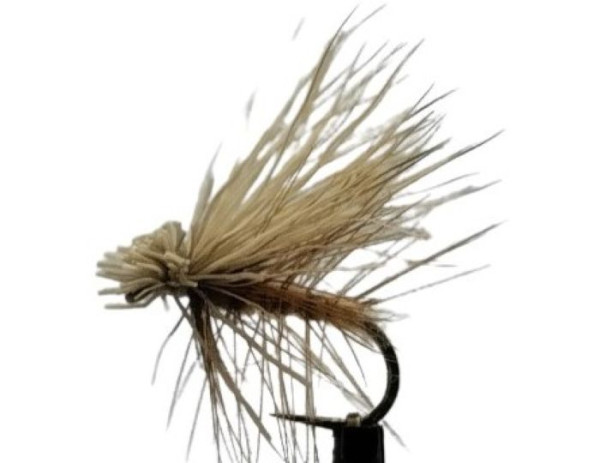 Trockenfliege " Elk Caddis Natural " auf Schonhaken/ barbless hook