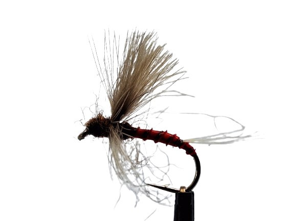 Trockenfliege " CDC THORAX RED QUILL "