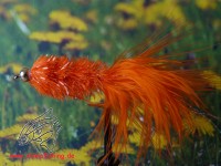 Streamer " Orange Cactus " Streamer " Orange Cactus "