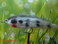 Streamer " Fiberfish Snowwhite Black " Streamer " Fiberfish Snowwhite Black "
