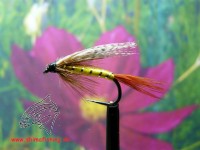 Nassfliege " Professor " auf Schonhaken/ barbless hook Nassfliege " Professor " auf Schonhaken/ barbless hook