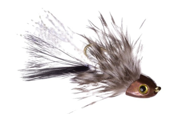 Streamer/ Koppenstreamer " Arya "