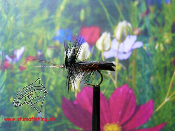 Trockenfliege " Blackhorn Sedge " auf Schonhaken/ barbless hook