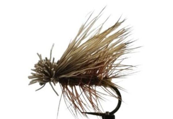 Trockenfliege " Elk Caddis Olive " auf Schonhaken/ barbless hook