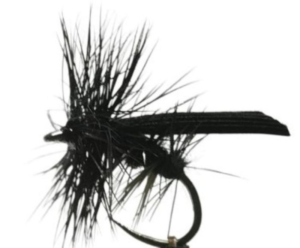 Trockenfliege " Caddis Black " auf Schonhaken/ barbless hook