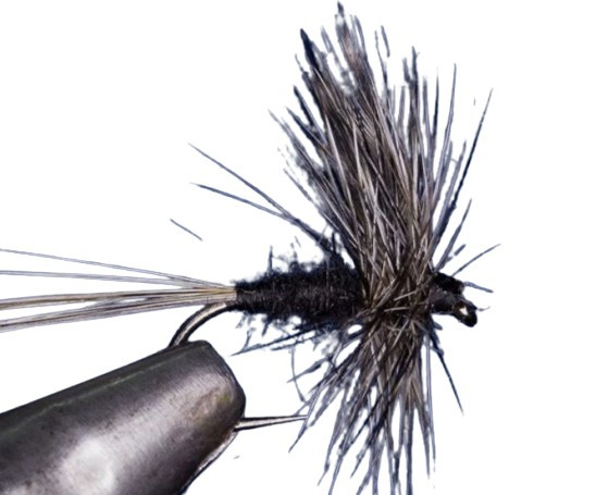 Trockenfliege " Adams Black "