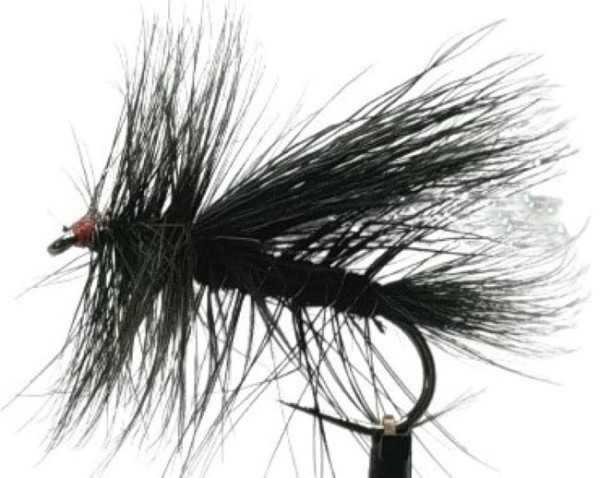 Trockenfliege " Stimulator Black " auf Schonhaken/ barbless hook