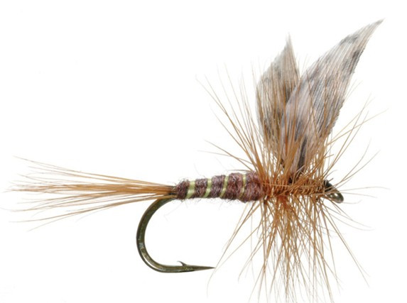 Trockenfliege " March Brown American "