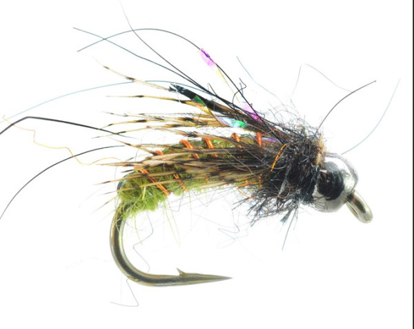 Nymphe " Super Puppa Olive "