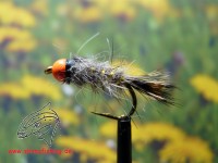 Nymphe " Firehead Hares Ear " Nymphe " Firehead Hares Ear "