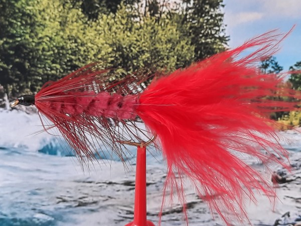 Streamer " Wooly Bugger Red "