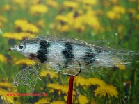 Streamer " Fiberfish Tiger " Streamer " Fiberfish Tiger "