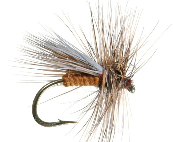 Trockenfliege " Ginger Caddis "