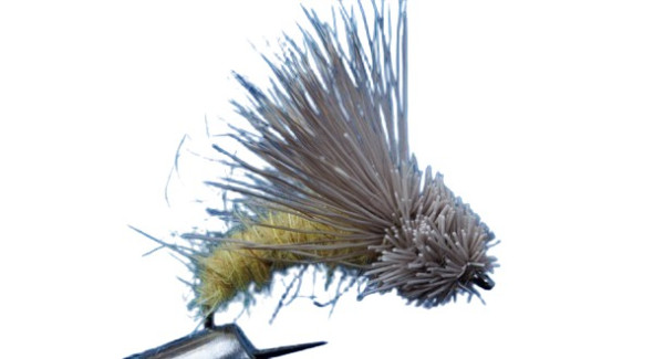 Trockenfliege " Streaking Caddis Olive "