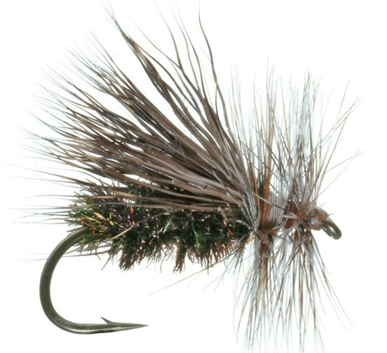 Trockenfliege " Peacock Caddis "