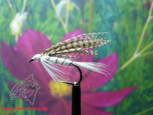 Nassfliege " Light Cahill " auf Schonhaken/ barbless hook