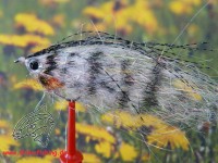 Streamer Fiberfish Grayling auf Schonhaken, barbless hook Streamer Fiberfish Grayling auf Schonhaken, barbless hook