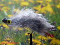 Streamer " Cave Creature " Streamer " Cave Creature "