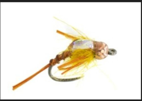 Nymphe " Imortal Mayfly "