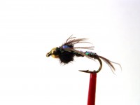 Tungsten Nymphe PHEASANT TAIL FLASHBACK Tungsten Nymphe PHEASANT TAIL FLASHBACK
