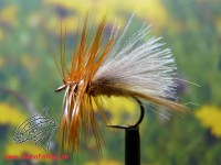 Trockenfliege " Nondescript " Trockenfliege " Nondescript "