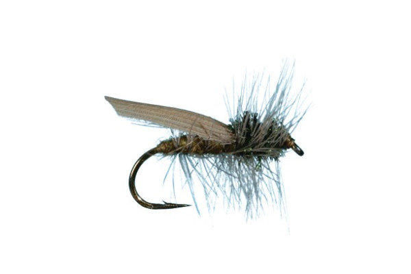 Trockenfliege " Hemingway Caddis "