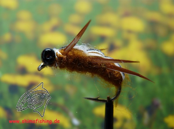 Hechtfliege Brown Bug Crawler