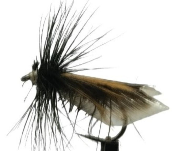 Trockenfliege " Tape Wing Caddis Black " auf Schonhaken/ barbless hook