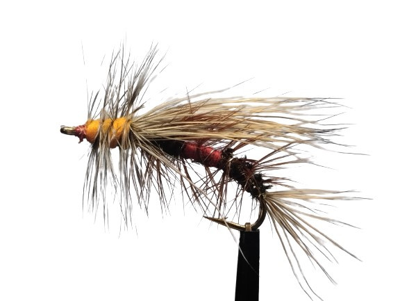 Trockenfliege " Stimulator Royal Coachman "