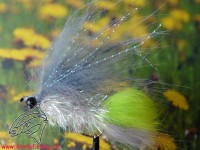 Streamer " Frizzonker " Streamer " Frizzonker "