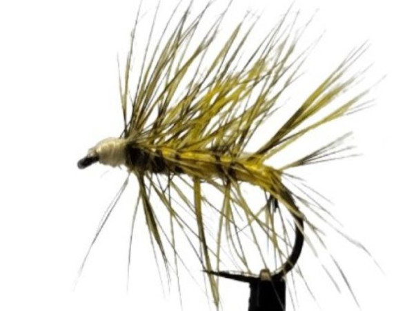 Trockenfliege " Assasine " auf Schonhaken/ barbless hook