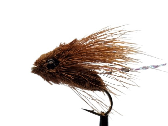 Trockenfliege " Cicada Brown " auf Schonhaken/ barbless hook