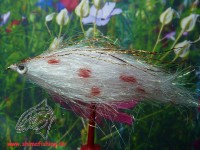 Streamer " Fiberfish Snowwhite Red " Streamer " Fiberfish Snowwhite Red "