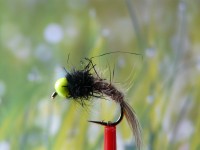 Tungsten-Nymphe 008 Tungsten-Nymphe 008