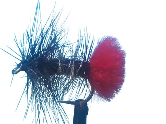 Trockenfliege " Black Zulu "