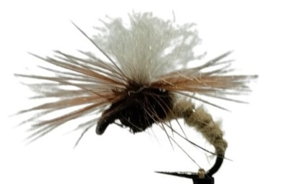 Trockenfliege " Klinckhammer Natural " auf Schonhaken/ barbless hook