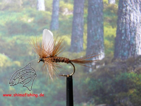 Trockenfliege " Pheasant Tail White Winged "