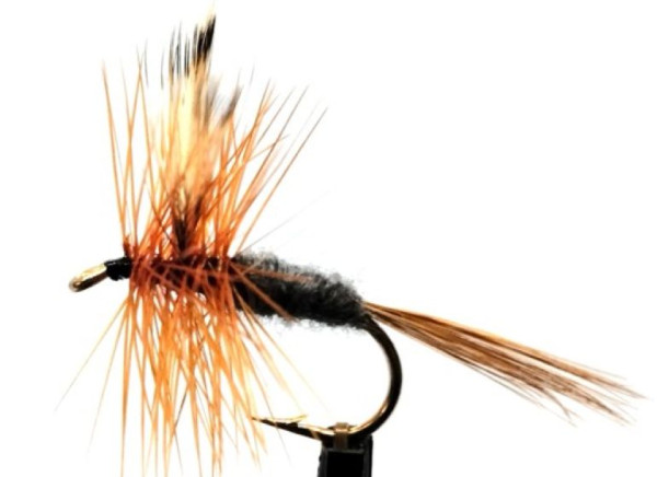Trockenfliege " Adams Brown Hackle "